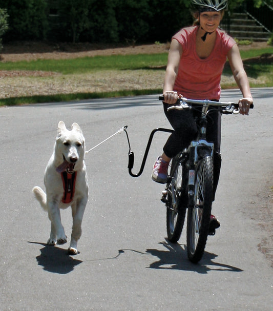 Springer Dog Exerciser Kit